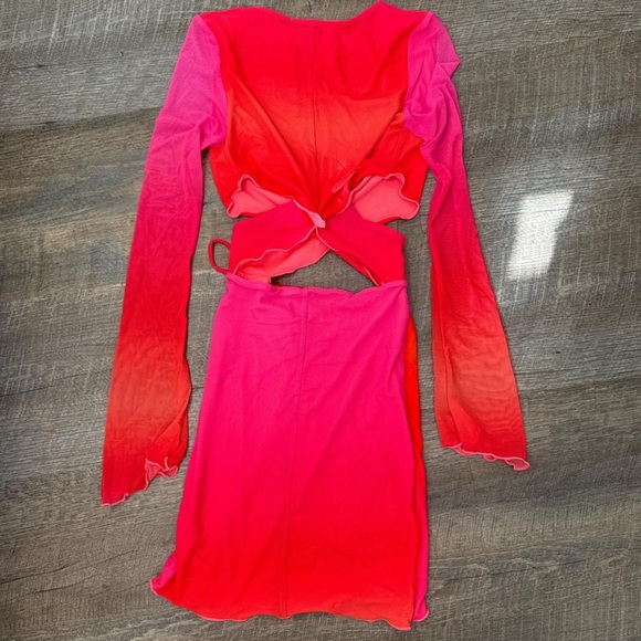 Tiger Mist Mini - Picture 4 of 4